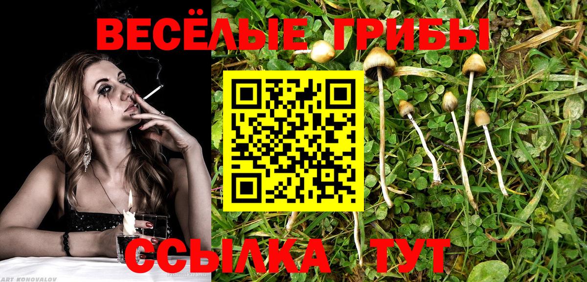 Бор  Галлюциногенные грибы Psilocybe  Вход с VPN 