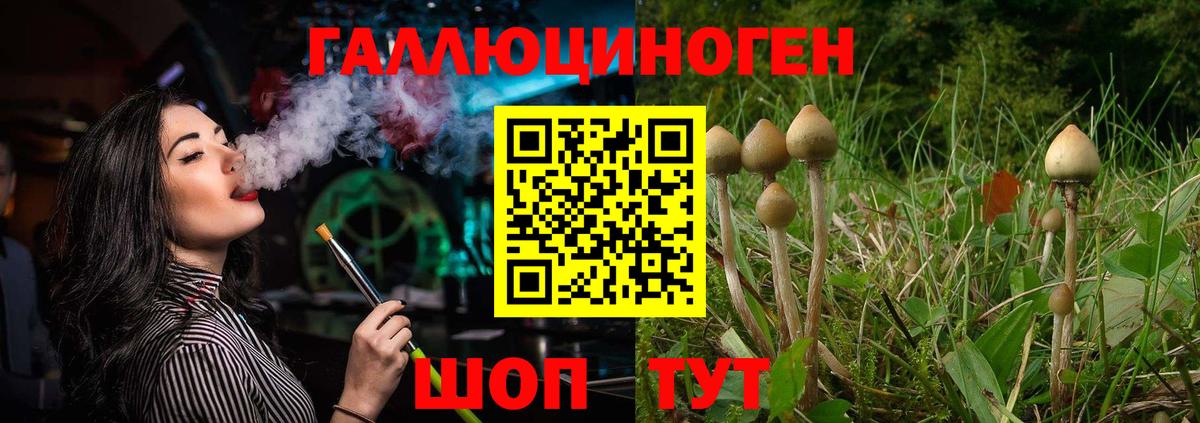 Псилоцибиновые грибы GOLDEN TEACHER Бор